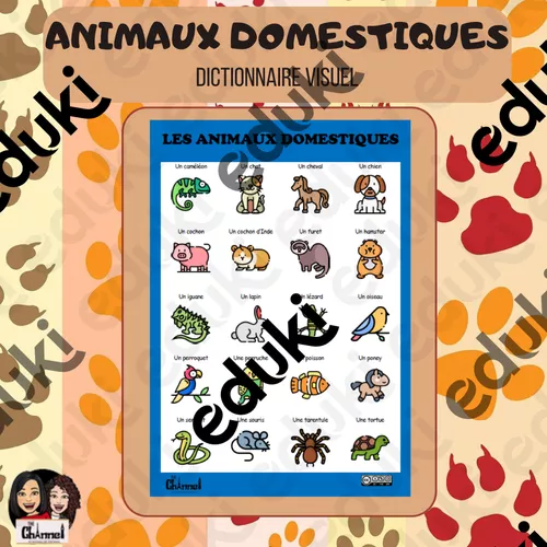 Animaux sauvages 1 - Dictionnaire visuel  Imagier animaux, Animaux sauvages,  Animaux