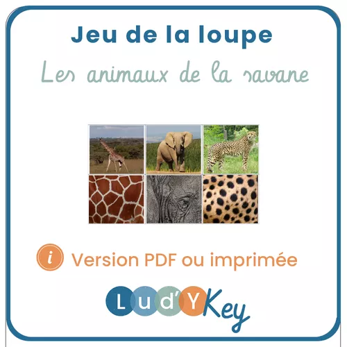 Les animaux de la savane (French Edition)
