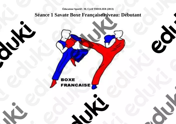 Boxe anglaise et 'savate' Boxe française