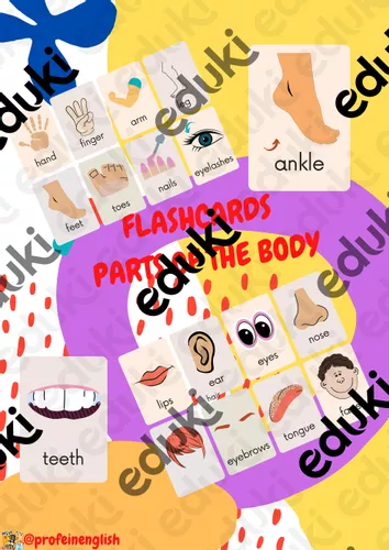 Flashcard delle parti del corpo in inglese! - Materiale didattico per la  materia Inglese