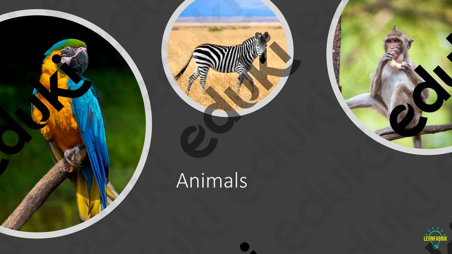 Zoo Animals Powerpoint – Unterrichtsmaterial im Fach Englisch