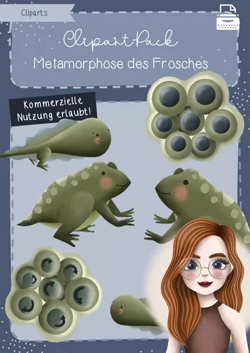 Clipart Pack Metamorphose Des Frosches Amphibien clipart-pack-metamorphose-des-frosches-amphibien
