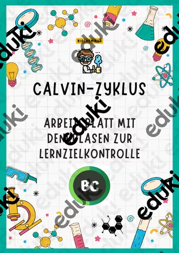 Calvin Zyklus Dunkelreaktionen Arbeitsblatt Mit Schema calvin-zyklus-dunkelreaktionen-arbeitsblatt-mit-schema