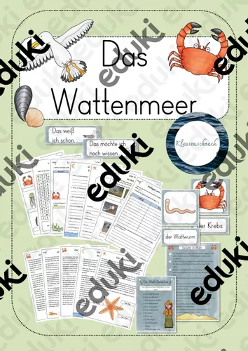 Das Wattenmeer Umfangreiche Unterrichtseinheit Unterrichtsmaterial das-wattenmeer-umfangreiche-unterrichtseinheit-unterrichtsmaterial