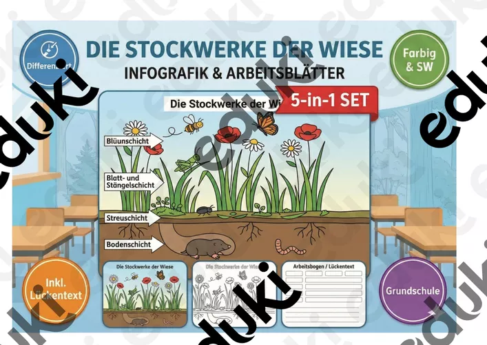 Die Stockwerke Der Wiese XXL Paket Infografik Lesetext die-stockwerke-der-wiese-xxl-paket-infografik-lesetext