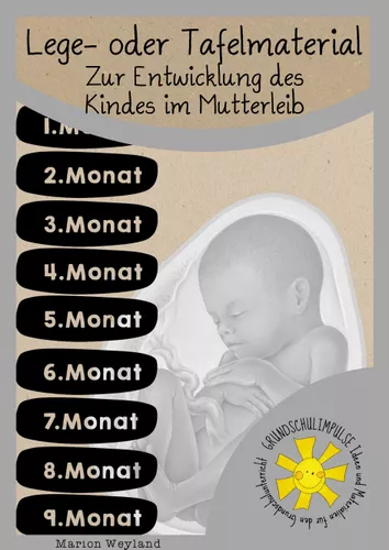 Zur Entwicklung Des Kindes Im Mutterleib Unterrichtsmaterial Im Fach zur-entwicklung-des-kindes-im-mutterleib-unterrichtsmaterial-im-fach