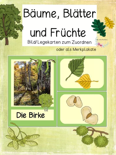 baeume blaetter und ihre fruechte bild legekarten zum zuordnen Bäume Und Ihre Früchte Arbeitsblatt
Bäume Blätter und ihre Früchte Bild Legekarten zum Zuordnen