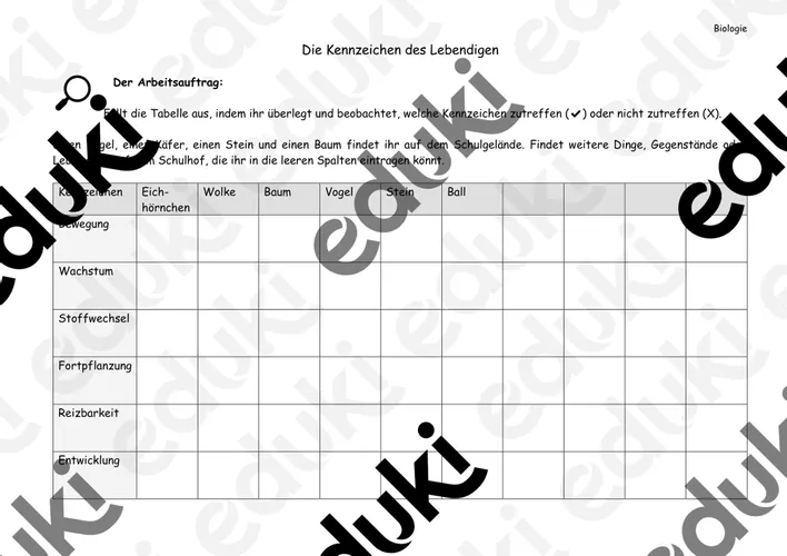 kennzeichen des lebendigen arbeitsblatt Kennzeichen Des Lebendigen Arbeitsblatt
Kennzeichen des Lebendigen Arbeitsblatt – Unterrichtsmaterial im Fach