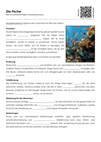fische arbeitsblatt mit erklarvideo Merkmale Der Fische Arbeitsblatt
Die Fische Arbeitsblatt mit Erklärvideo – Unterrichtsmaterial im Fach