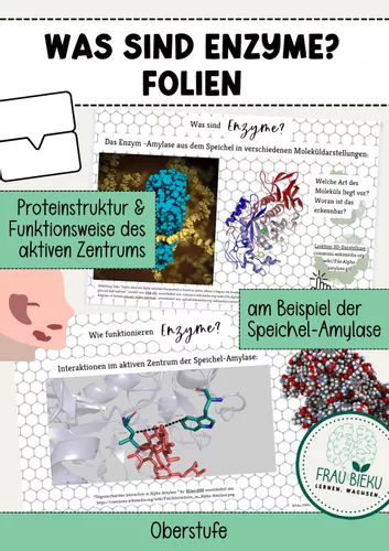 Folien Enzyme Proteinstruktur Aktives Zentrum Enzymatik –  Unterrichtsmaterial im Fach Alltagskultur, Ernährung und Soziales