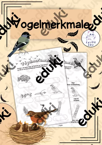 merkmale der vogel arbeitsblatt Merkmale Vögel Arbeitsblatt
Merkmale der Vögel Arbeitsblatt – Unterrichtsmaterial im Fach Biologie