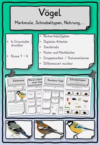 V gel Arbeitsheft Und Beobachtung Klasse 1 2 3 4 V gel Arbeitsheft Und Beobachtung Klasse 1 2 3 4