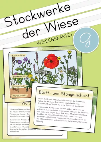Stockwerke Der Wiese Wissenskartei Unterrichtsmaterial In Den F chern stockwerke-der-wiese-wissenskartei-unterrichtsmaterial-in-den-f-chern