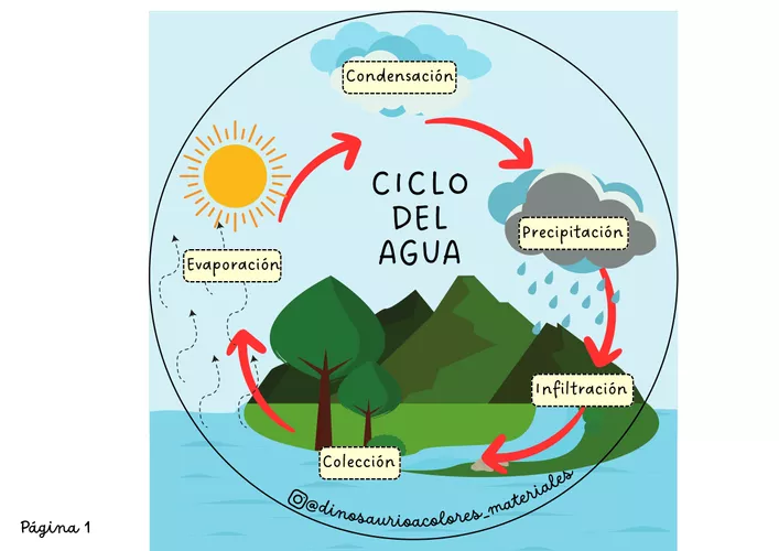 Ciclo del agua. - material de la siguiente asignatura Ciencias naturales