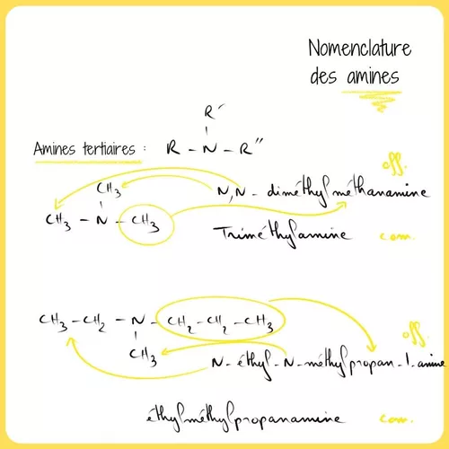 Nomenclature Des Amines Tertiaires Ressource P dagogique Pour Ton nomenclature-des-amines-tertiaires-ressource-p-dagogique-pour-ton