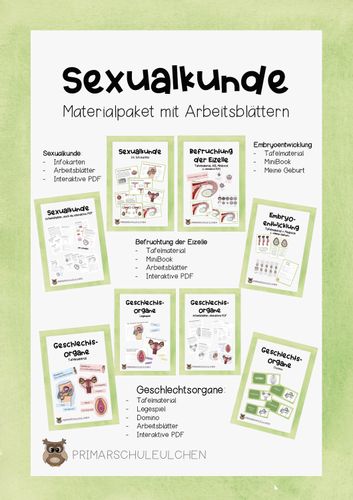 Sexualkunde 4 klasse arbeitsblätter