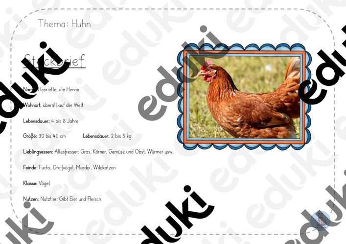 arbeitsblaetter huhn steckbrief Steckbrief Huhn Arbeitsblatt
Arbeitsblätter Huhn Steckbrief – Unterrichtsmaterial im Fach Sachunterricht