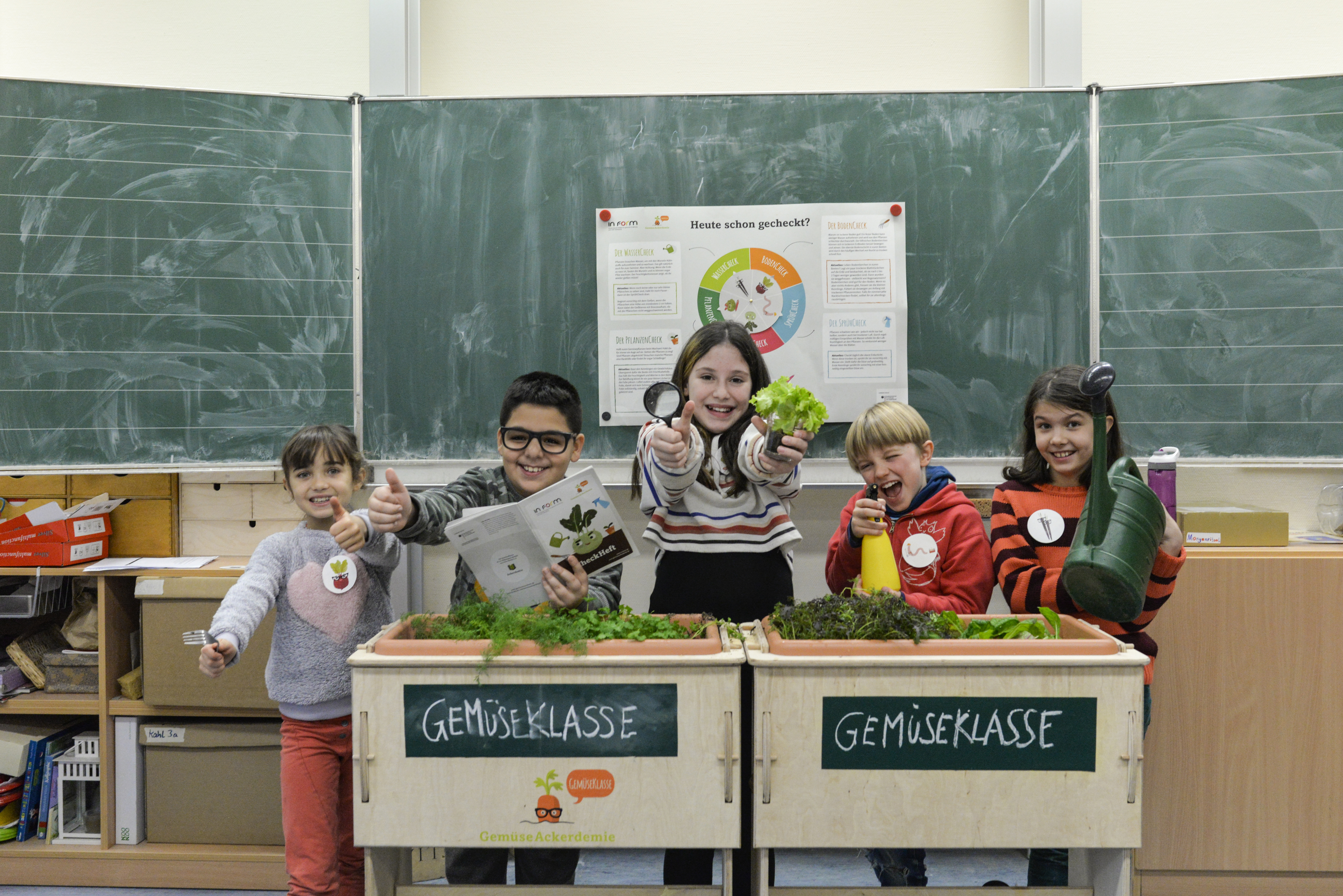 Junges Gemüse in der Schule: die GemüseAckerdemie