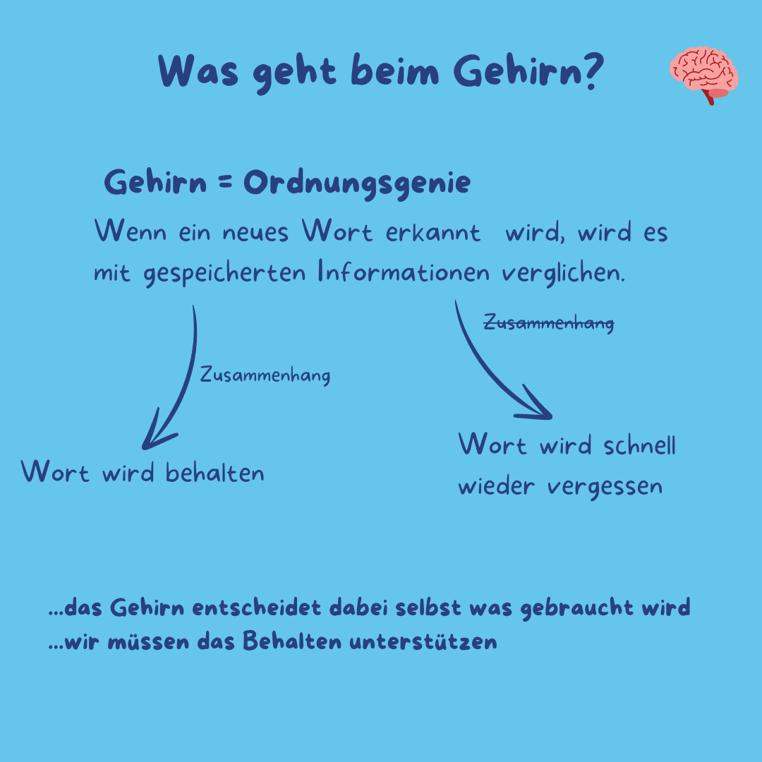 64e58371-f163-4e55-a01e-ed1d6738de44.png