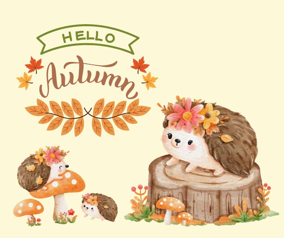 5 Bewegungsspiele für Kinder: Der Igel im Herbst