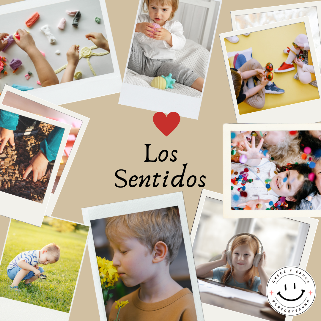 La Importancia de la Estimulación Sensorial en el Desarrollo Infantil