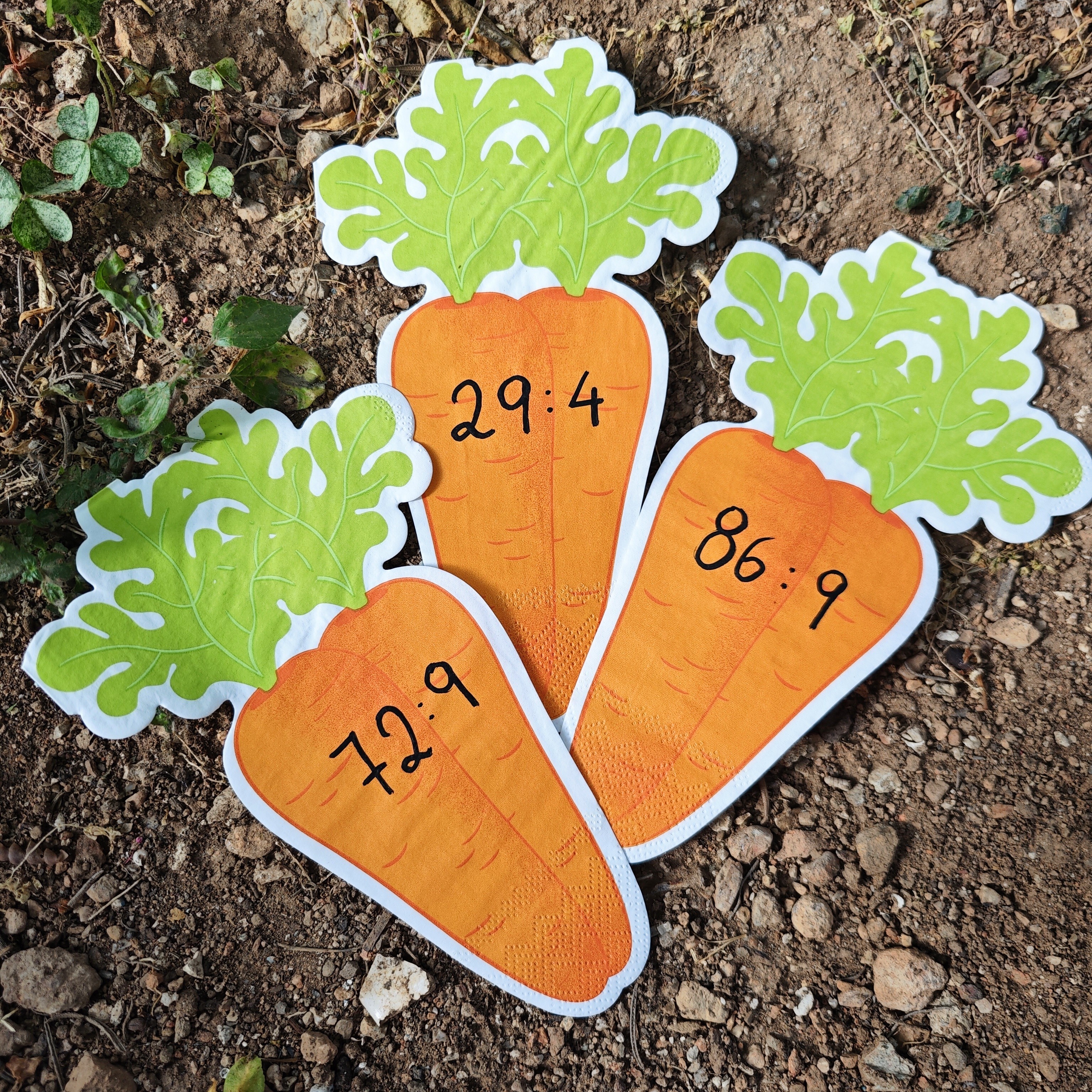 🥕📚 Μαθηματικά στον… λαχανόκηπο! 📚🥕