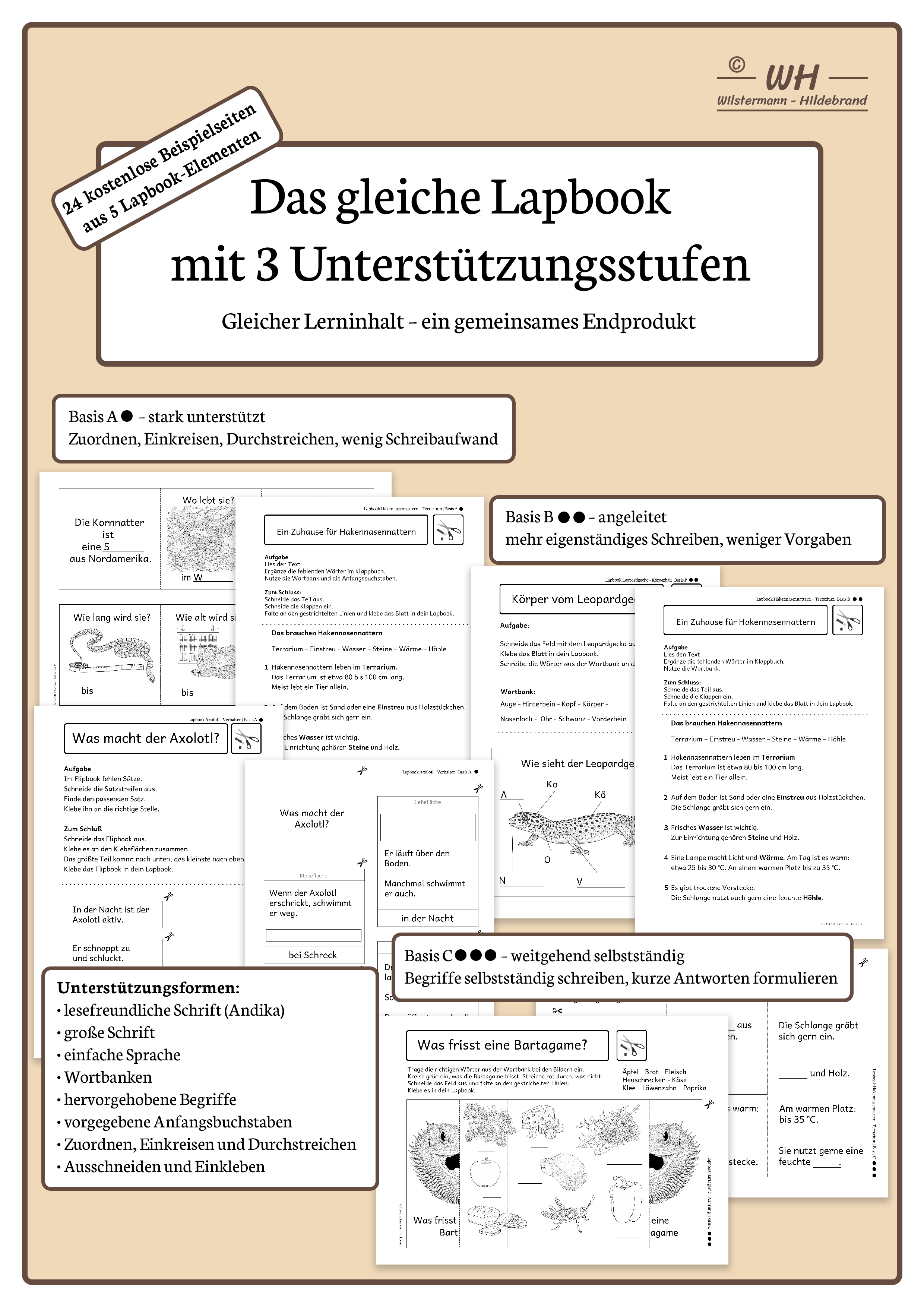 971e1c98-56aa-43a2-b82b-6a28a4f89895.png