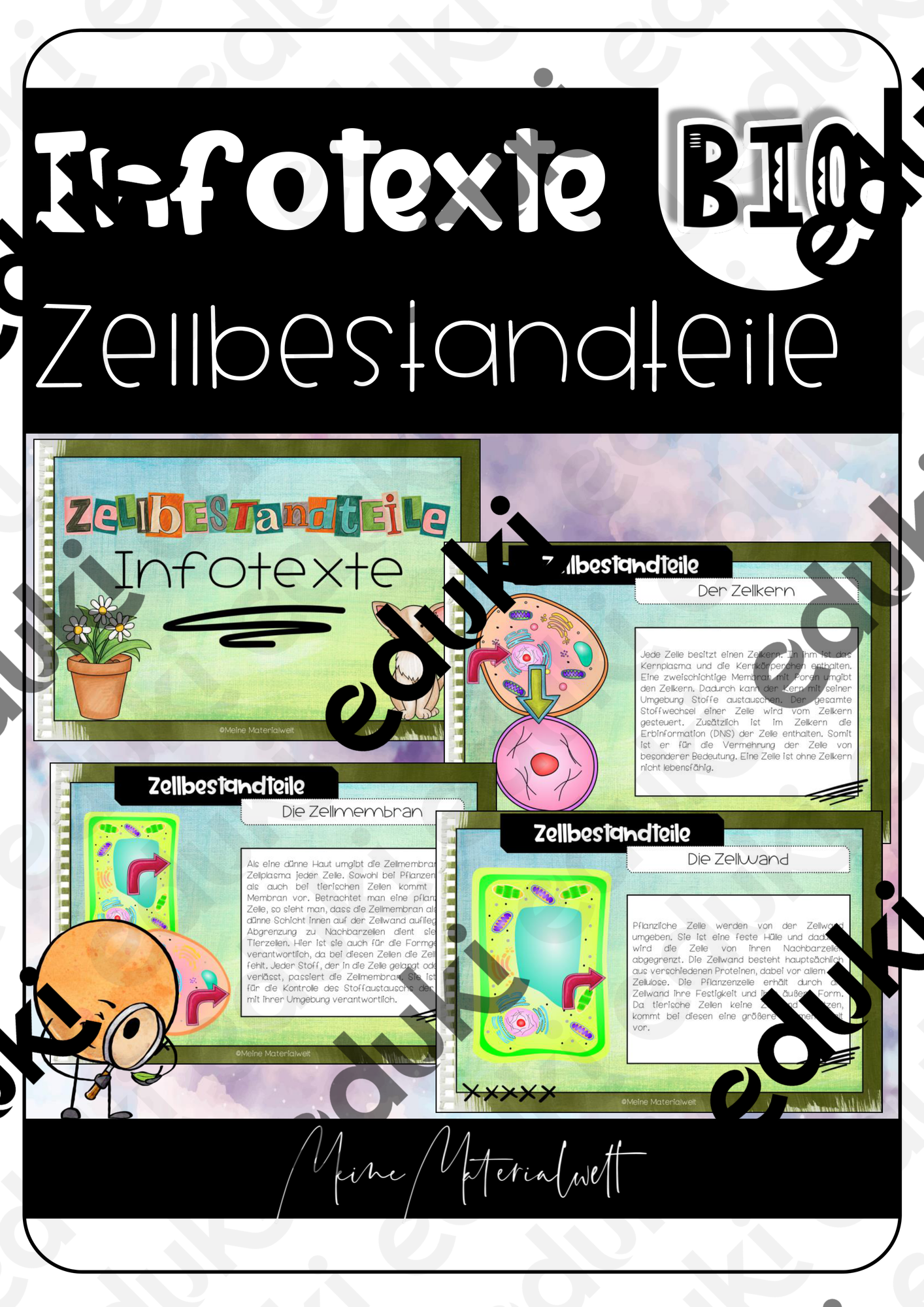ZoomedPreview