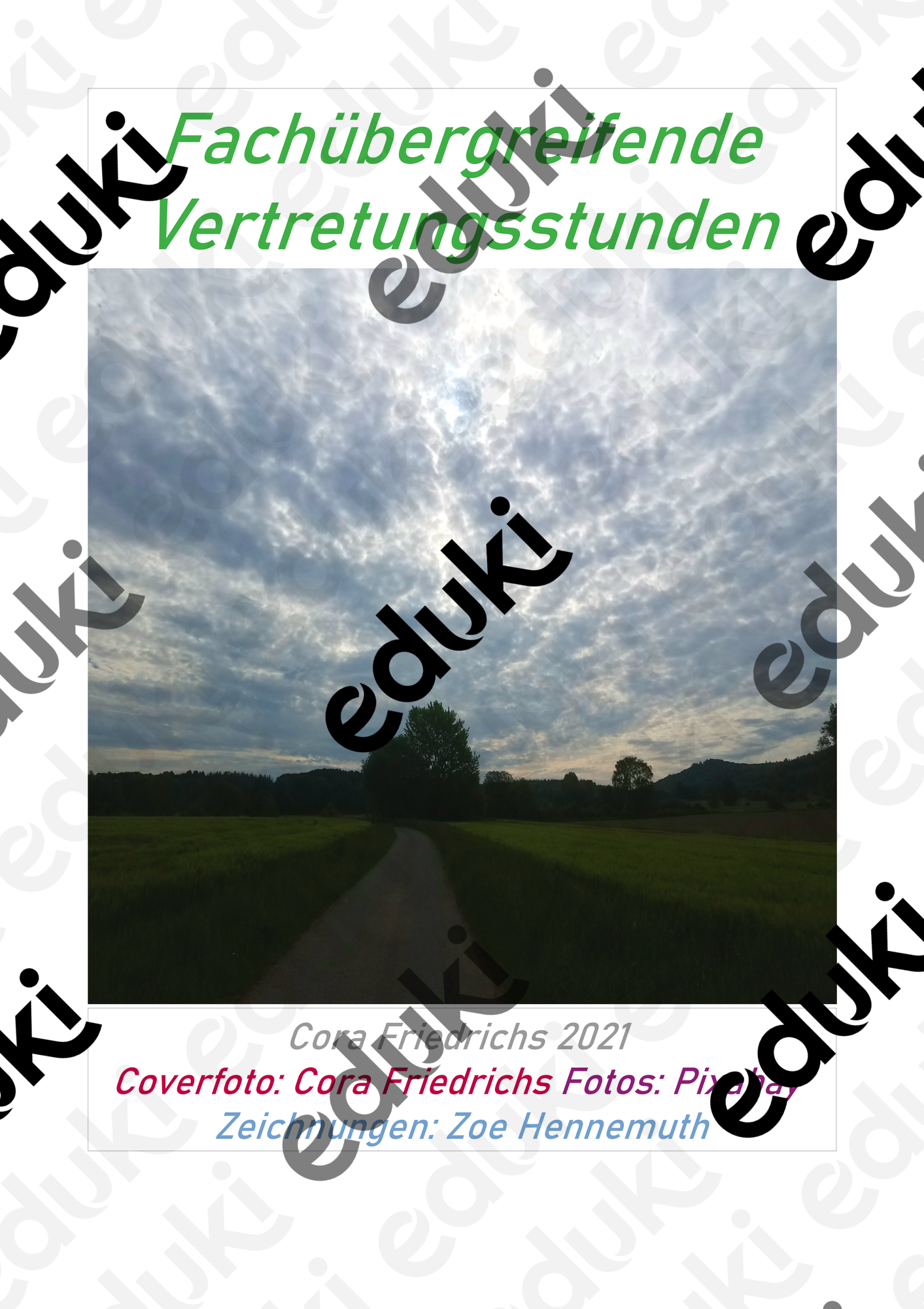ZoomedPreview