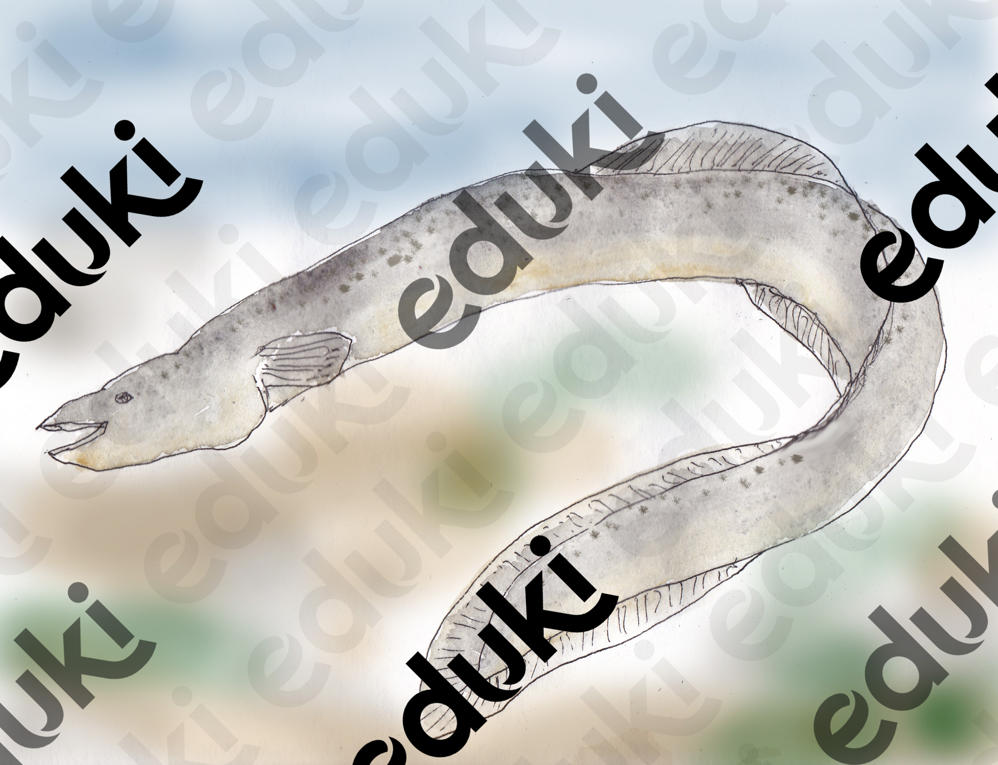 ZoomedPreview