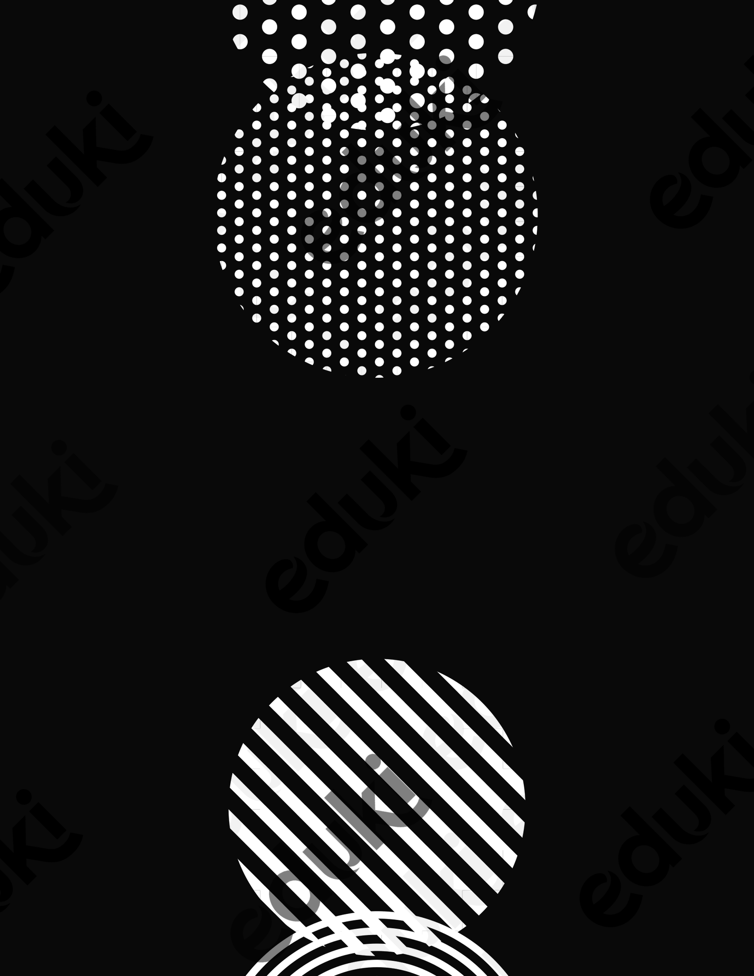 ZoomedPreview
