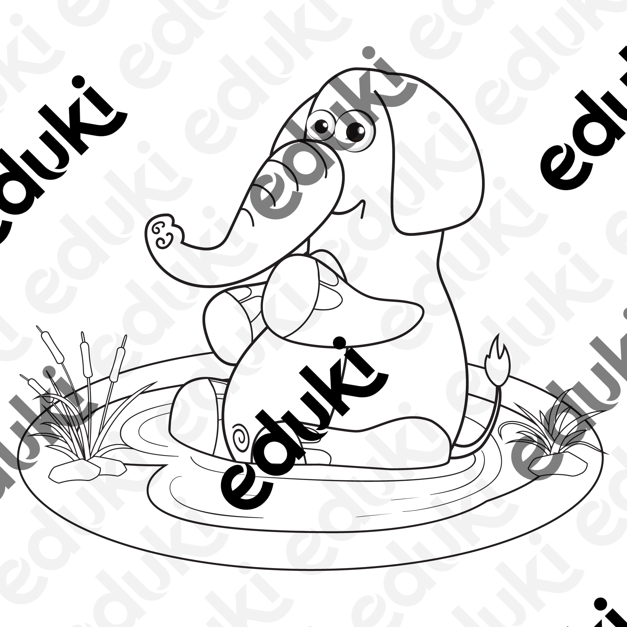 ZoomedPreview
