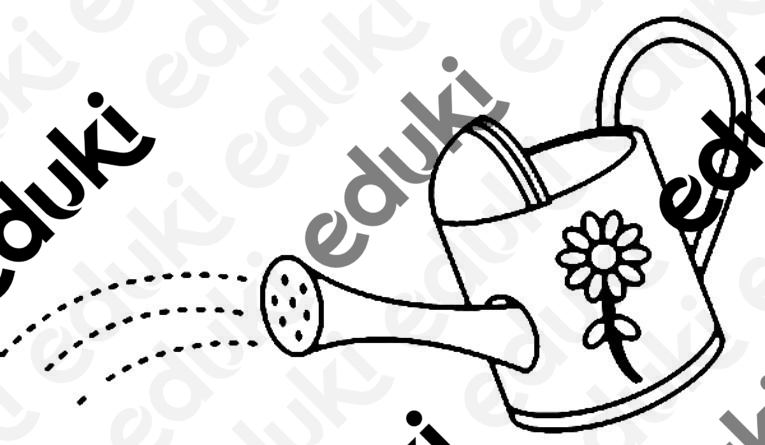 ZoomedPreview