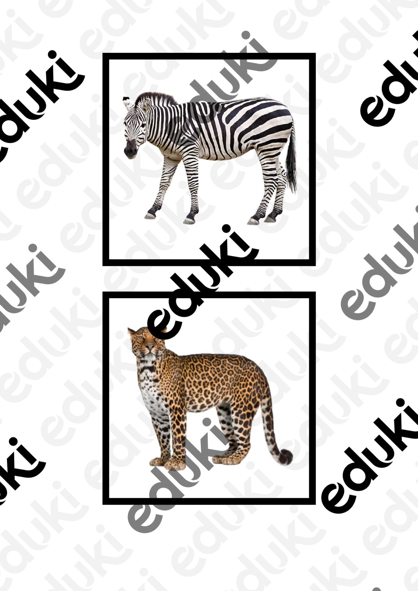 ZoomedPreview