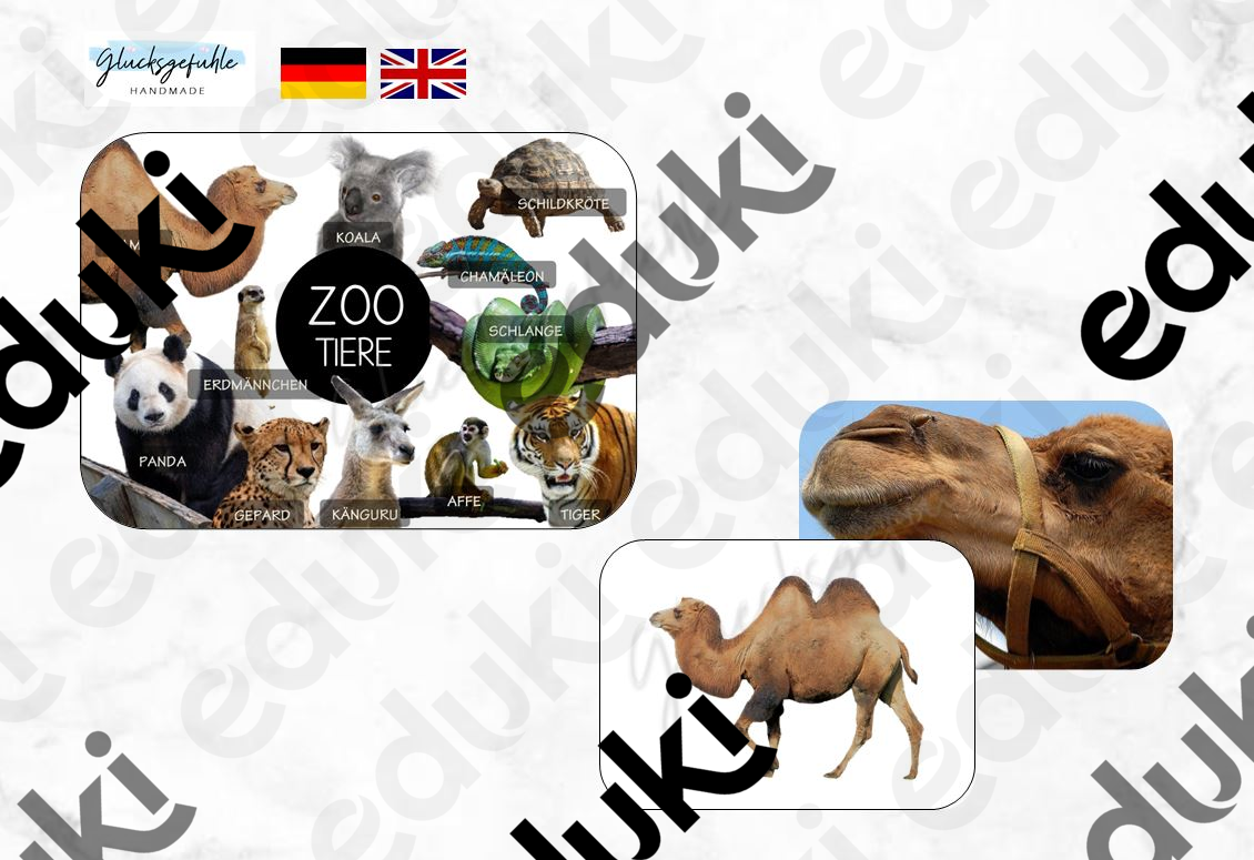 ZoomedPreview