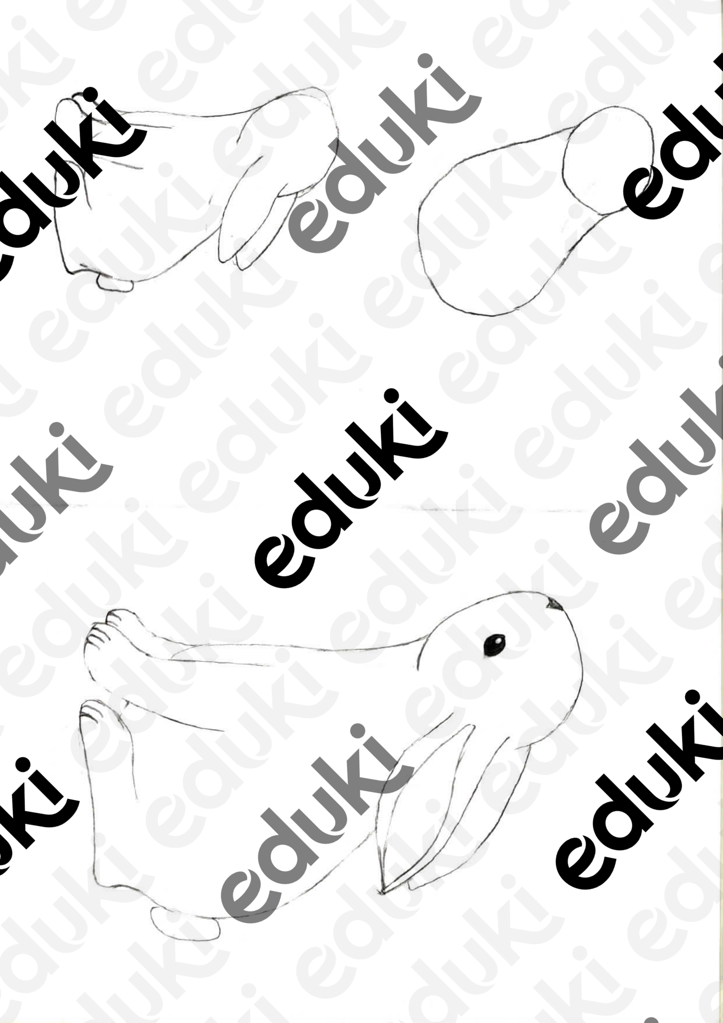 ZoomedPreview
