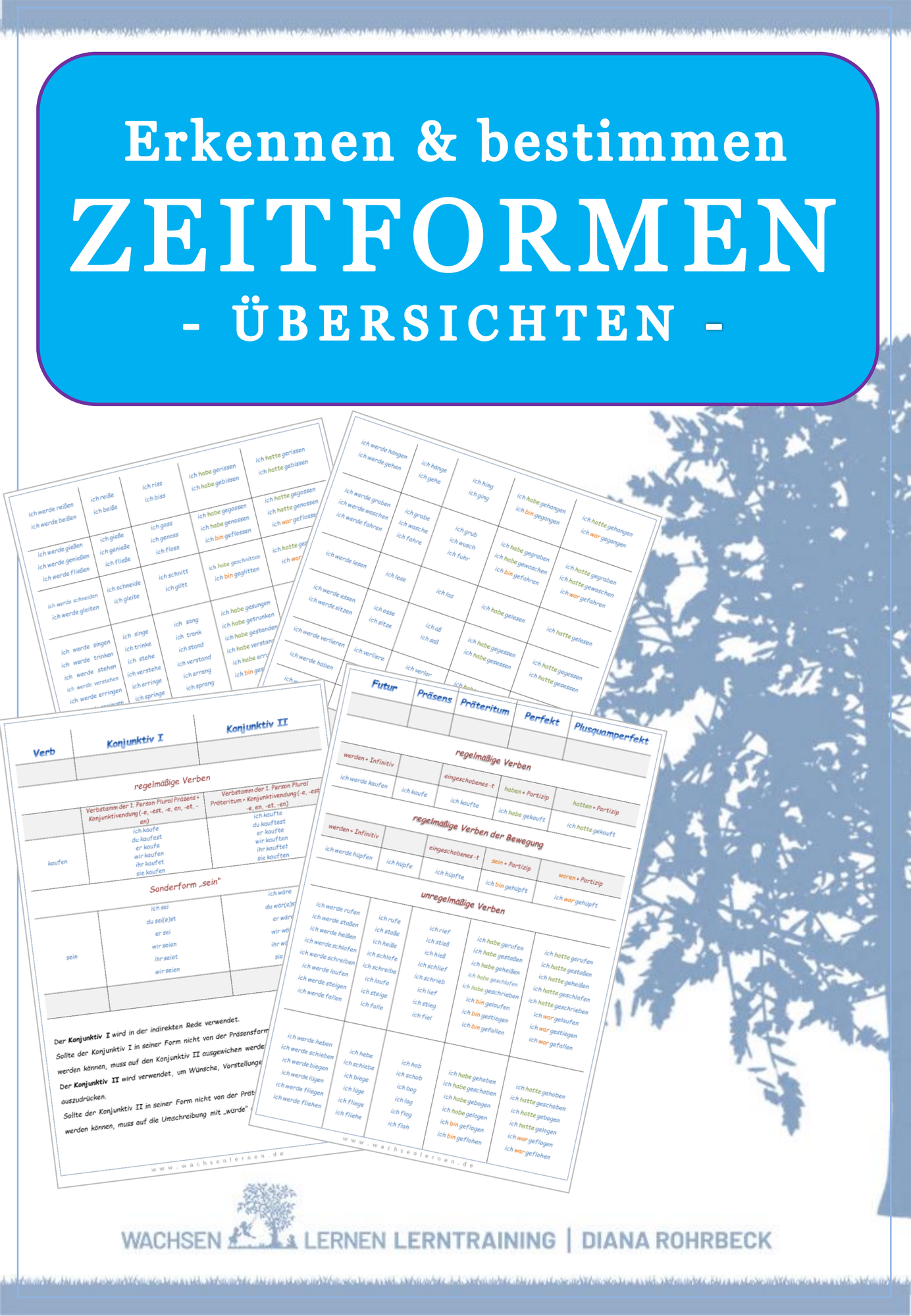ZoomedPreview