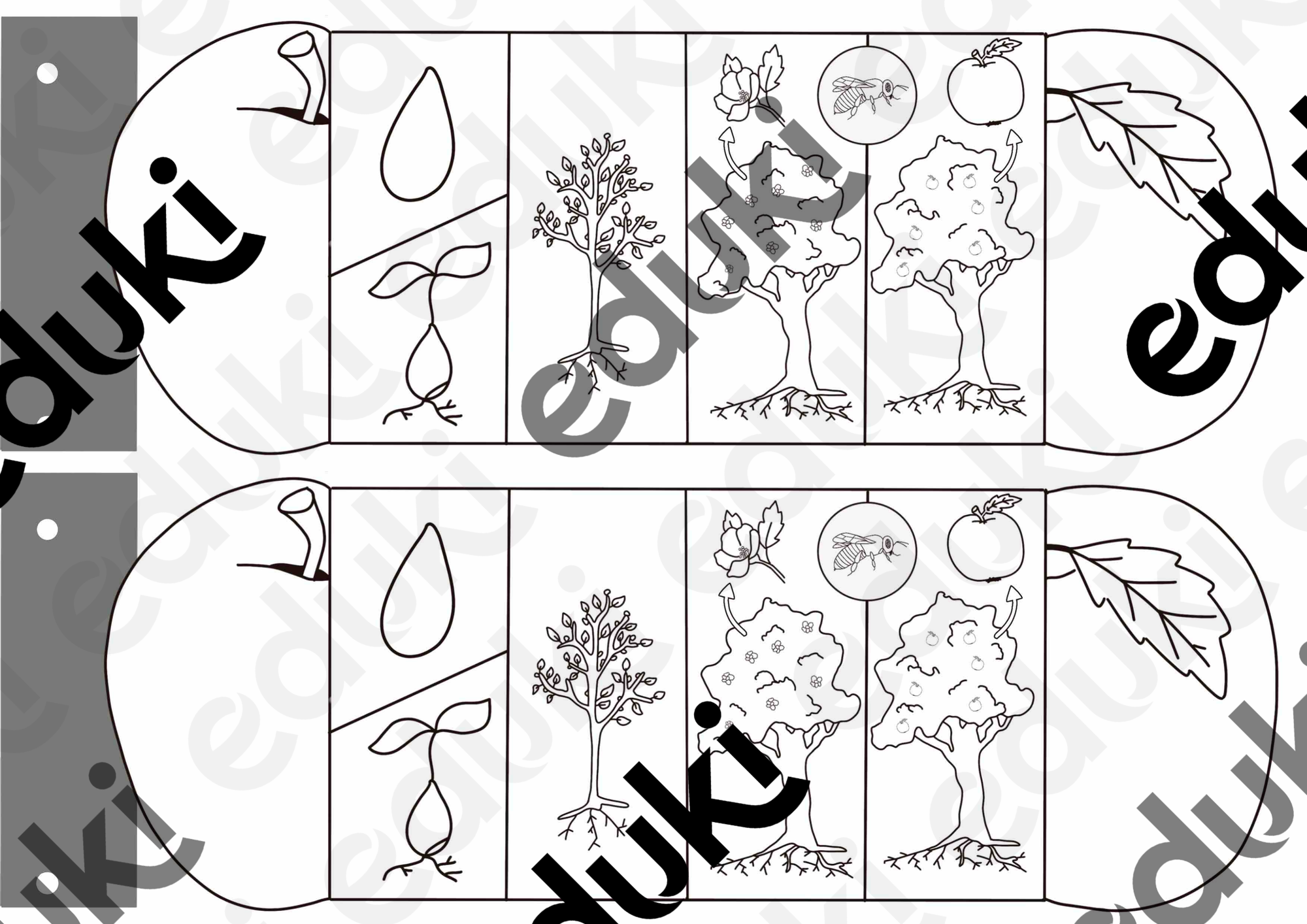 ZoomedPreview