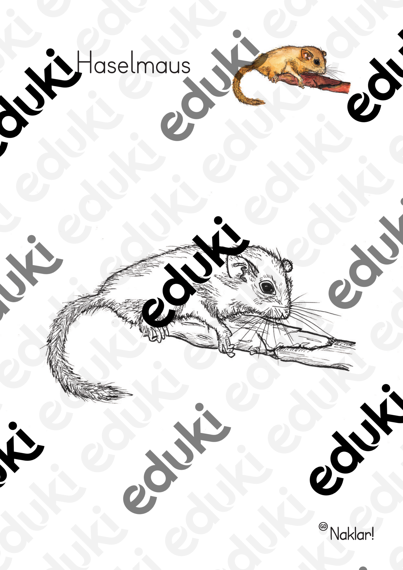 ZoomedPreview