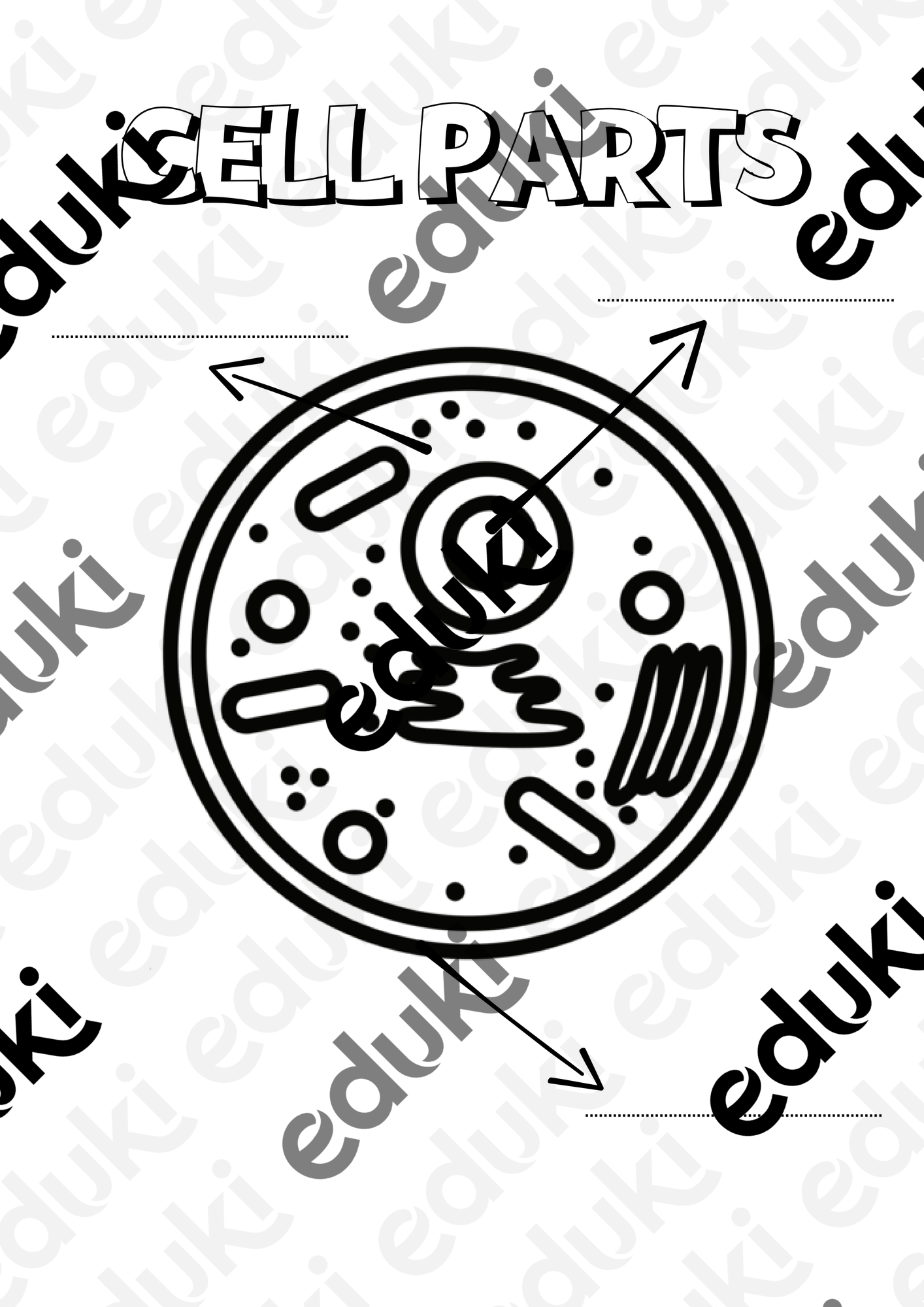 ZoomedPreview