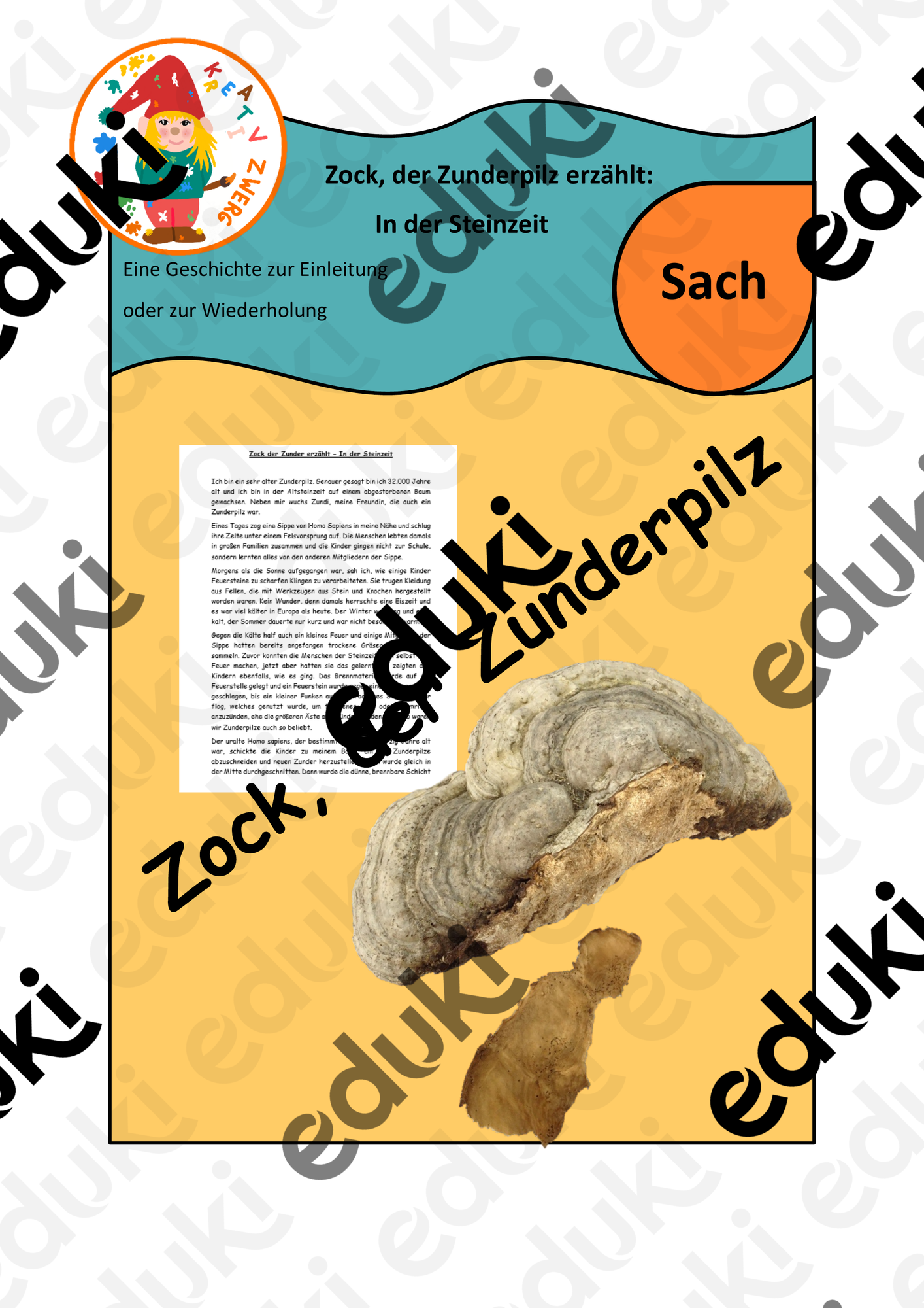 ZoomedPreview