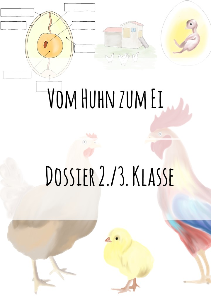 ZoomedPreview