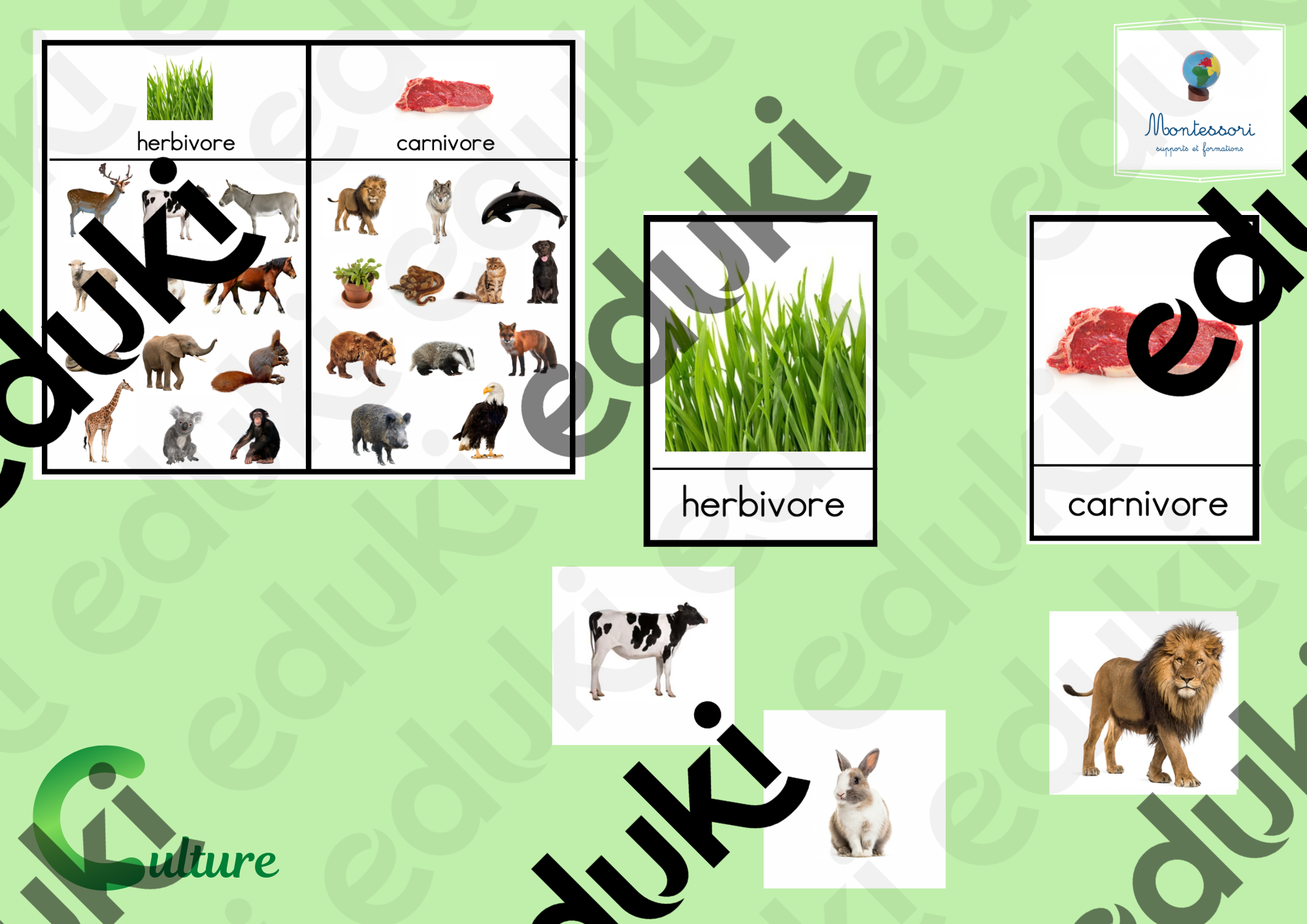 ZoomedPreview