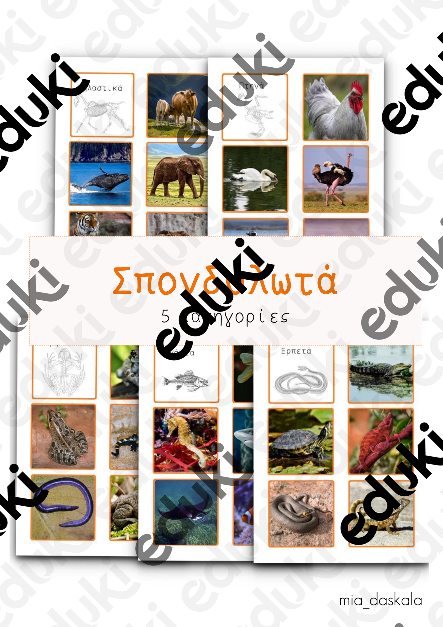 ZoomedPreview