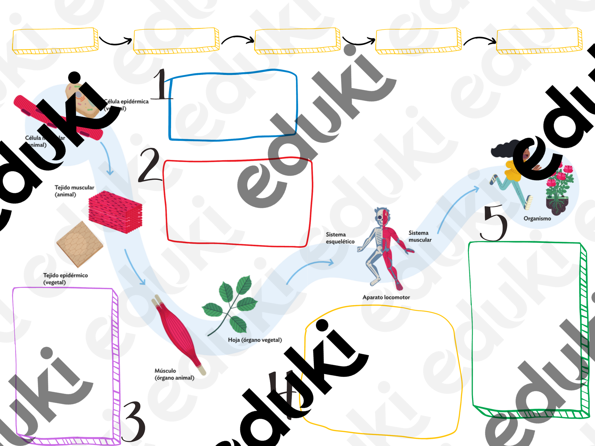ZoomedPreview