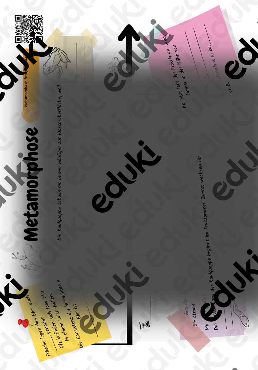 ZoomedPreview