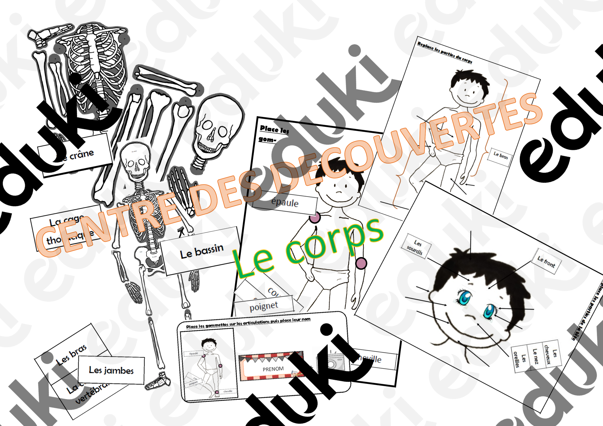 ZoomedPreview