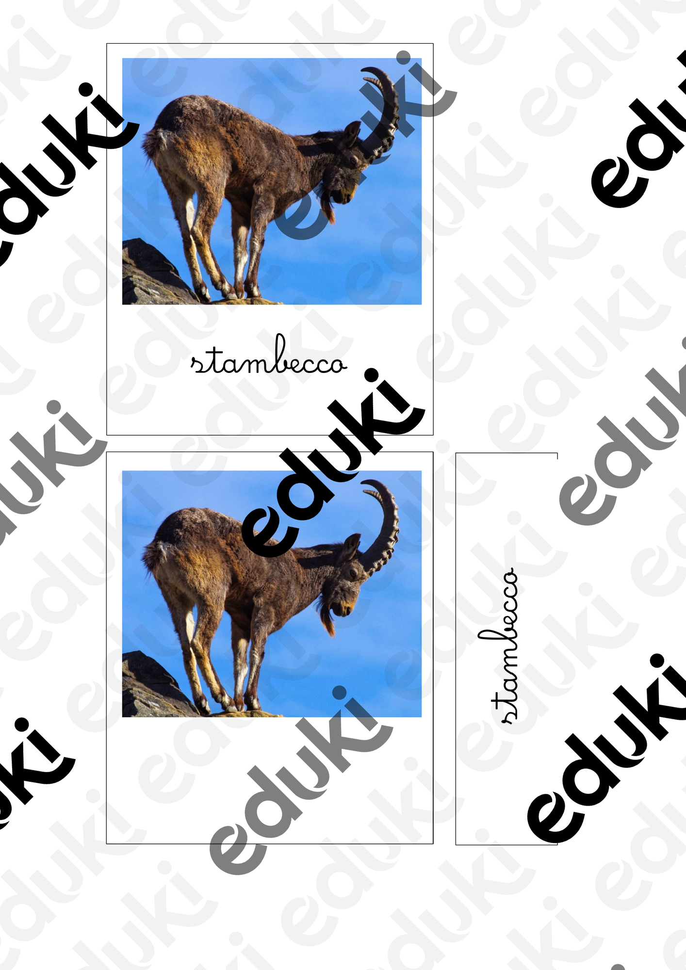 ZoomedPreview
