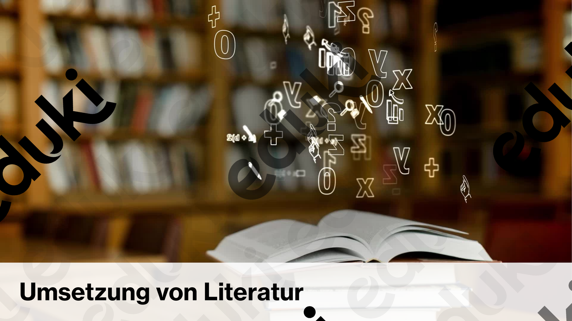 ZoomedPreview