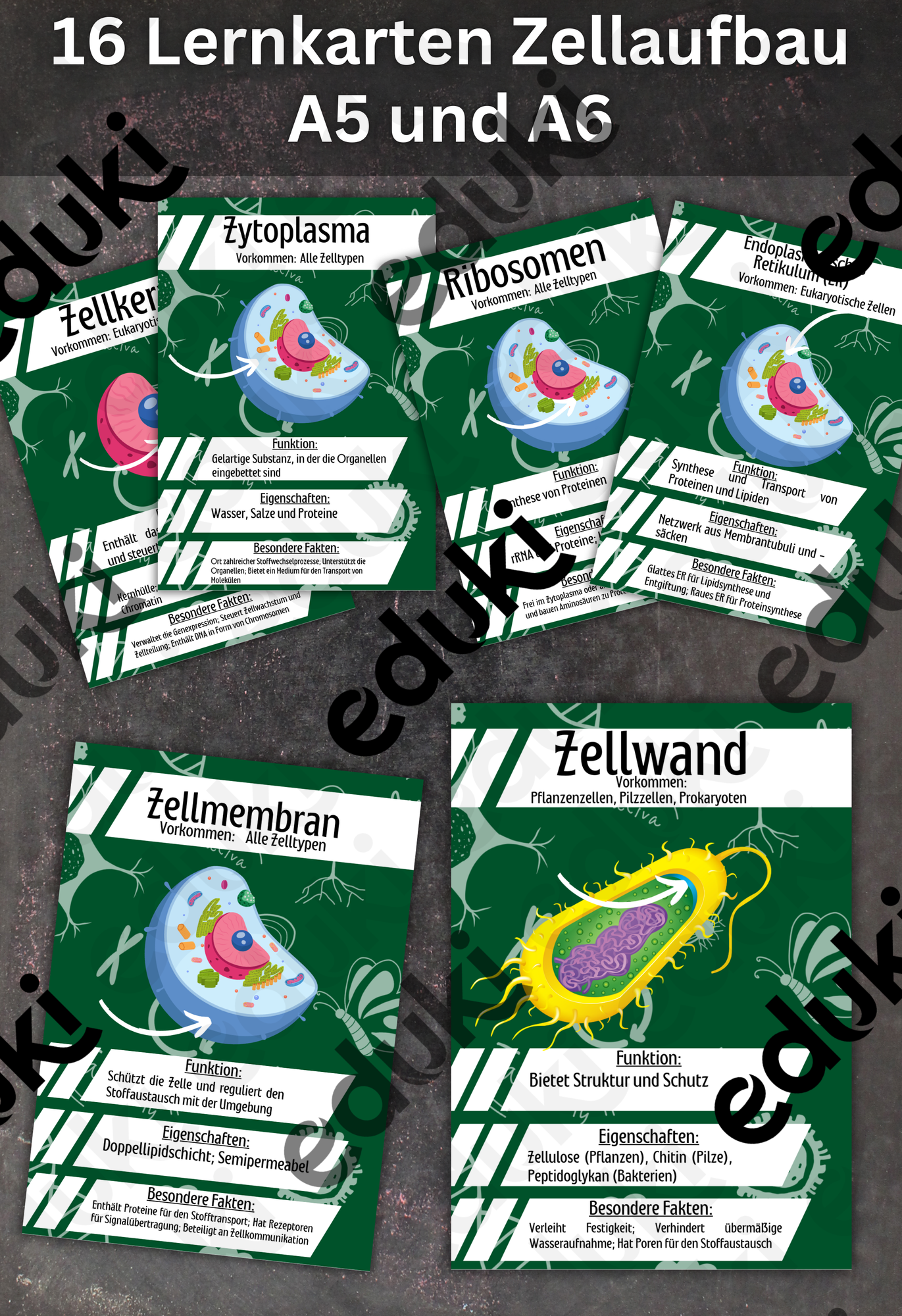 ZoomedPreview